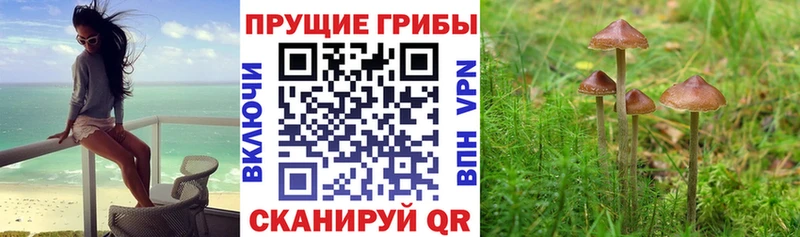 Галлюциногенные грибы мицелий  Коряжма 